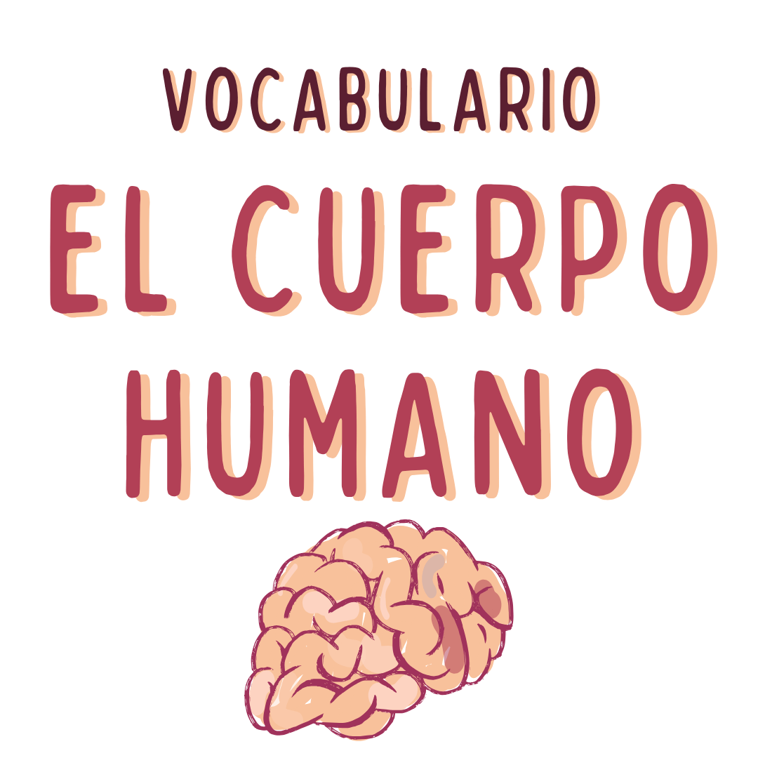 EL CUERPO HUMANO, VOCABULARIO, Español para extranjeros, Victoria Monera