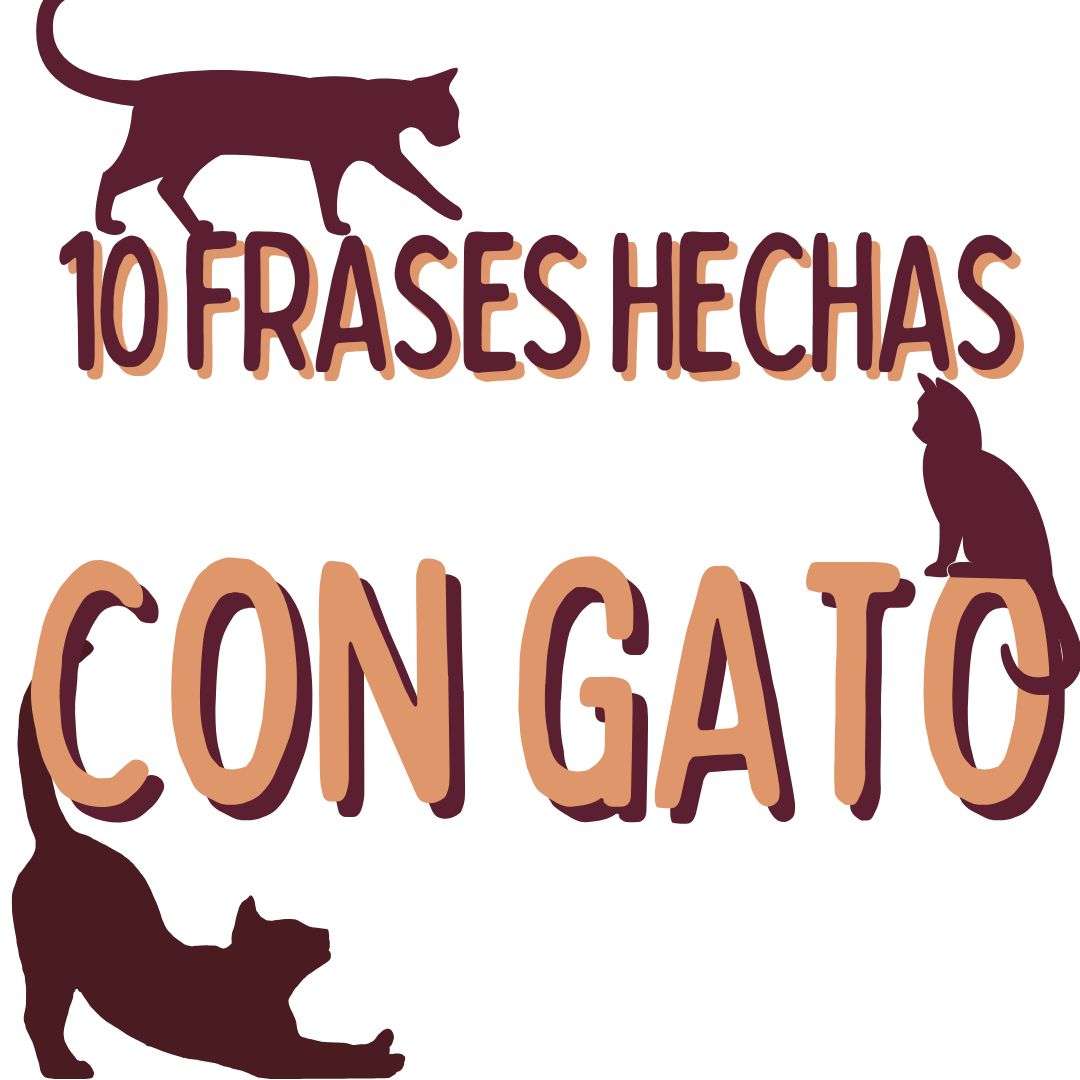 VOCABULARIO, FRASES HECHAS CON GATO , español extranjeros, www.españolextranjeros.com, Victoria Monera